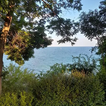 Апартамент Виго Панорама  *